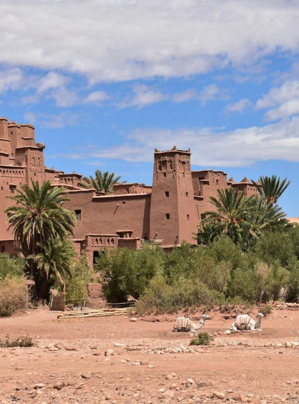 a large building with trees in front of it
