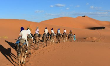 a group of people riding camels in the desert