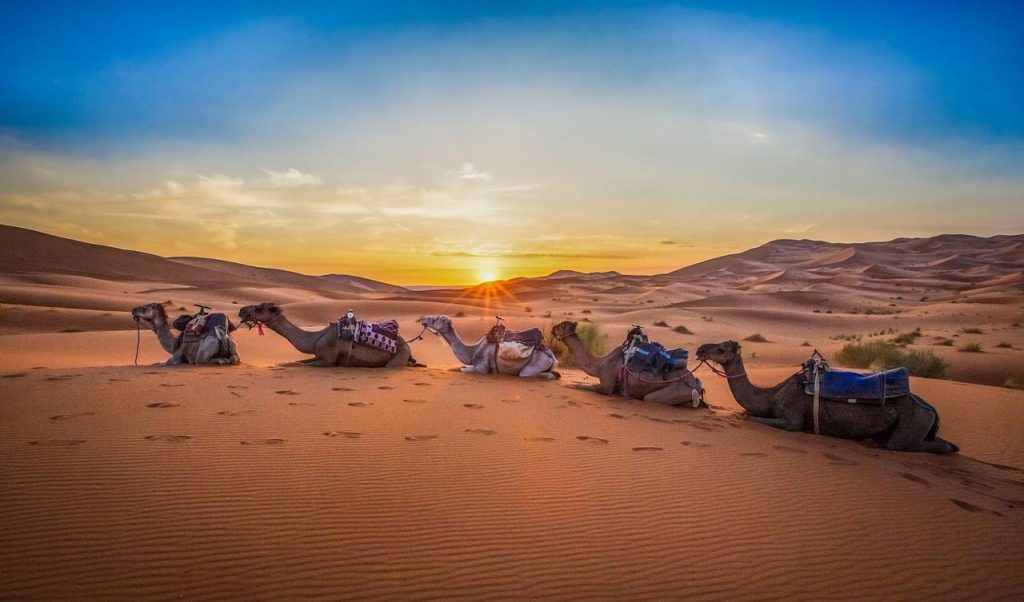 4 days Marrakech to Fes desert tour