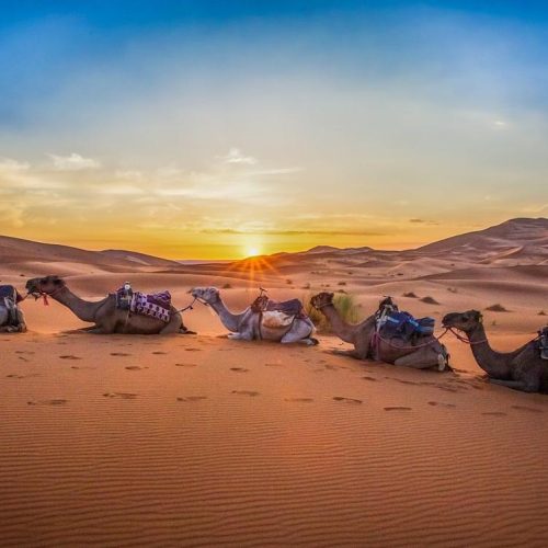 4 days Marrakech to Fes desert tour