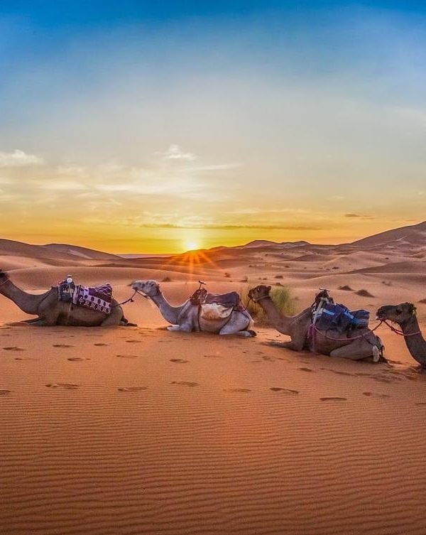 4 days Marrakech to Fes desert tour