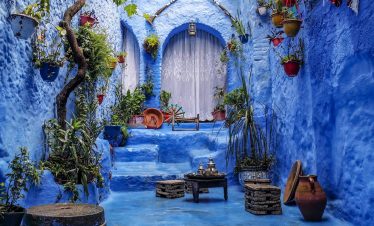 a blue alley with potted plants and a bench