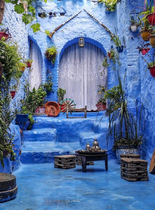 a blue alley with potted plants and a bench