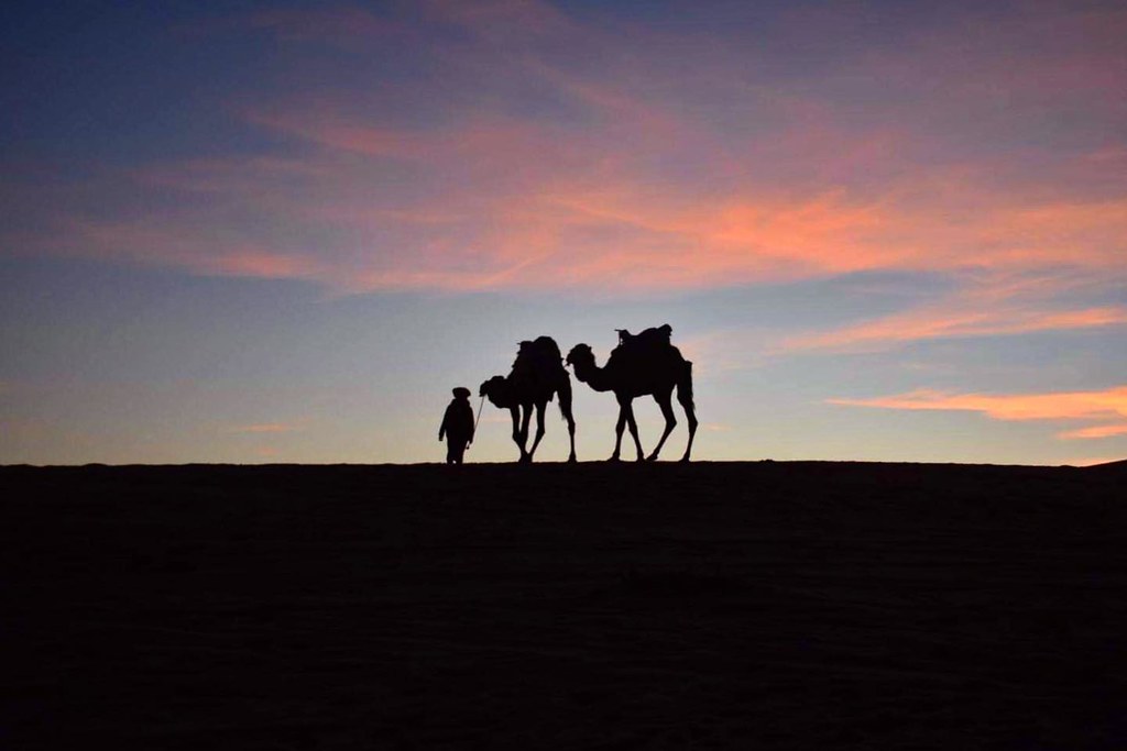 6 days tour from Marrakech - Essaouira - desert