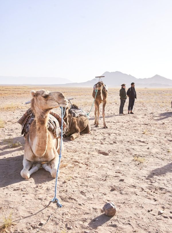 2 days marrakech to zagora desrt tour