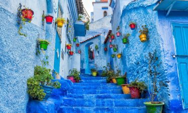 a narrow street with blue steps and potted plants