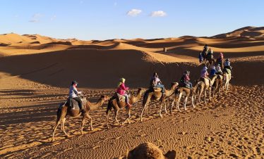people riding camels on desert during daytime