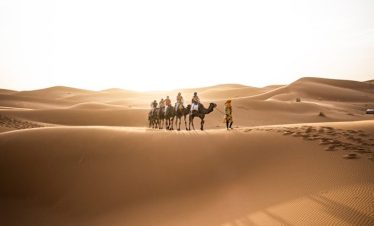 a group of people riding camels across a desert