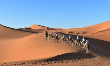 a group of people riding camels in the desert with Sahara in the background