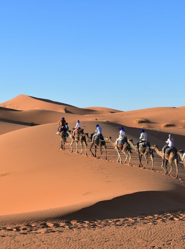 a group of people riding camels in the desert with Sahara in the background