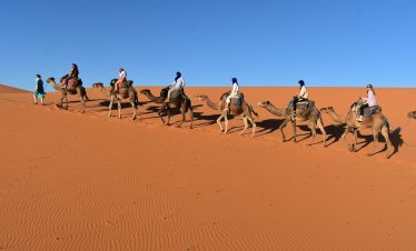 people riding camels in the desert