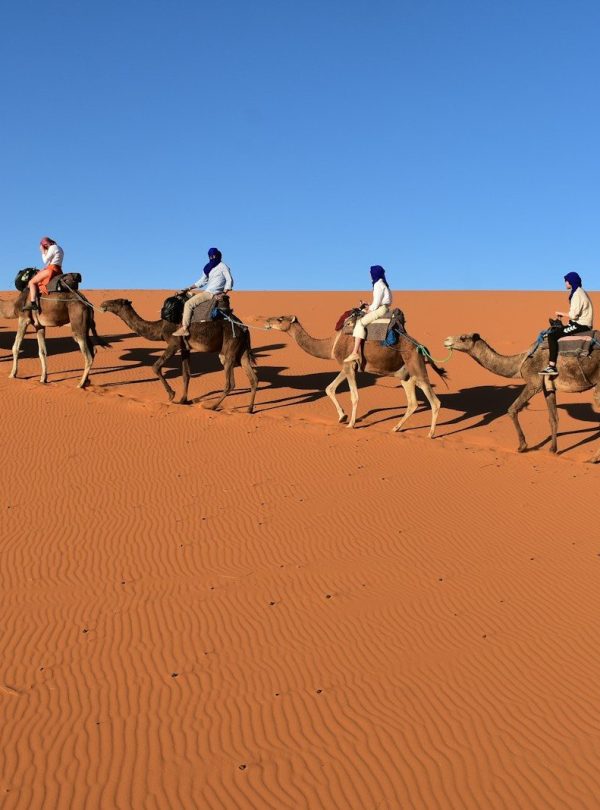 people riding camels in the desert