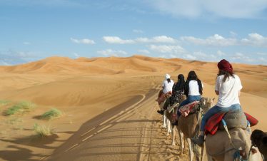 A group of people riding on the backs of camels