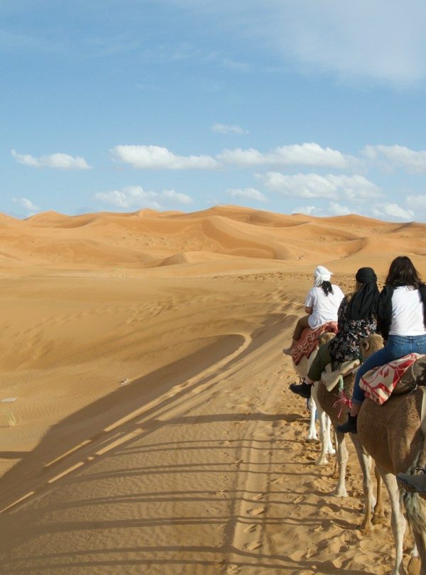 A group of people riding on the backs of camels