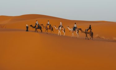 a group of people riding camels across a desert