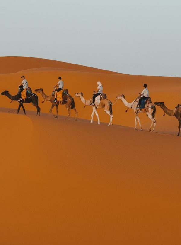 a group of people riding camels across a desert