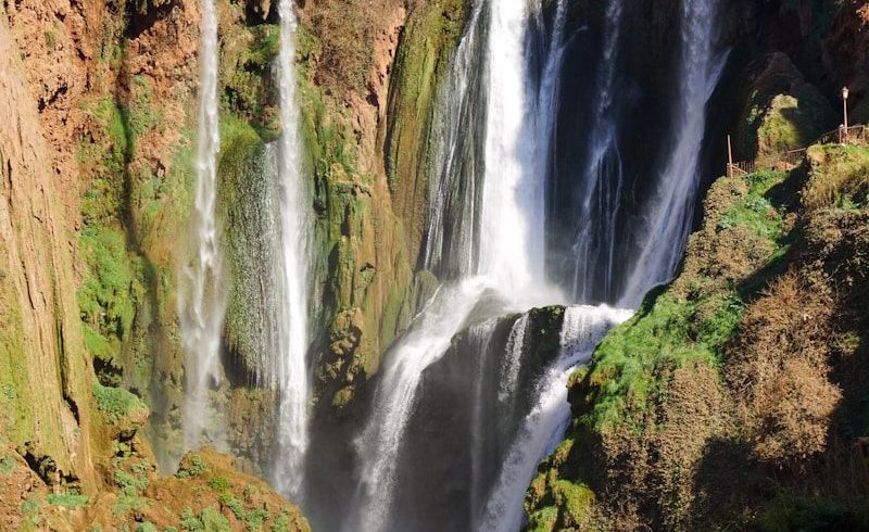 waterfalls in the middle of the forest during daytime