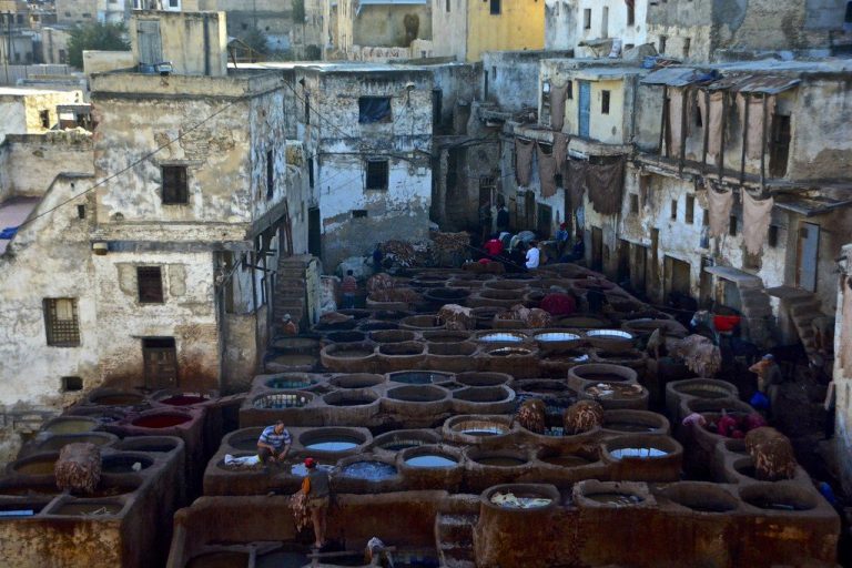 Tours from Fes