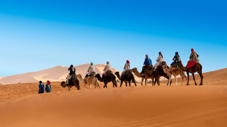 7-Day Desert Tour from Casablanca to Marrakech