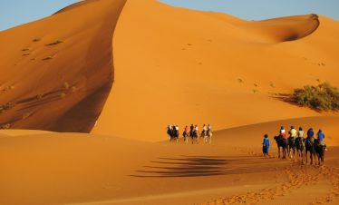 a group of people riding horses across a desert