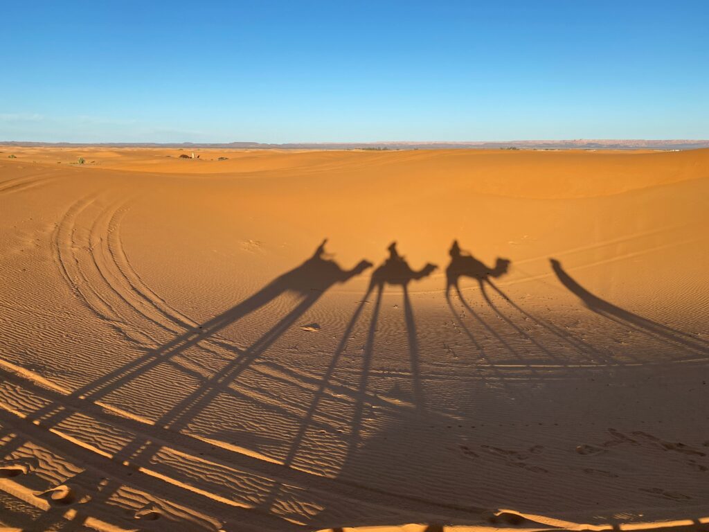 Camel trek in the Sahara desert on a Morocco tour