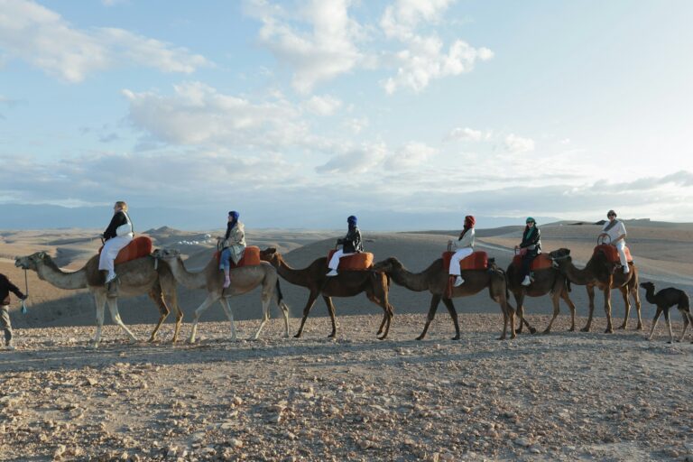 Agafay Desert Sunset & Dinner