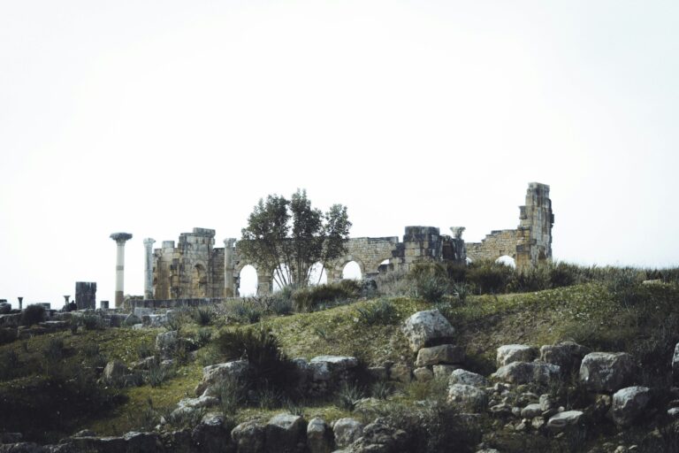 Volubilis & Meknes Day Trip